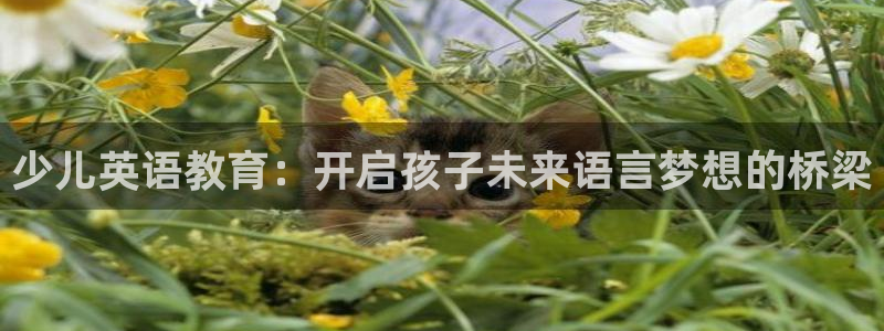 cq9电子平台哪里玩