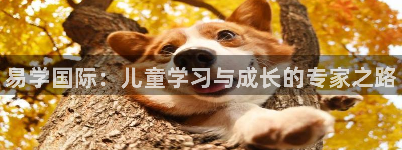 cq9电子神兽争霸